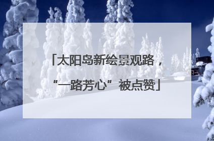太阳岛新绘景观路，“一路芳心”被点赞