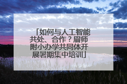 如何与人工智能共处、合作？眉师附小办学共同体开展暑期集中培训