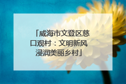 威海市文登区慈口观村：文明新风浸润美丽乡村