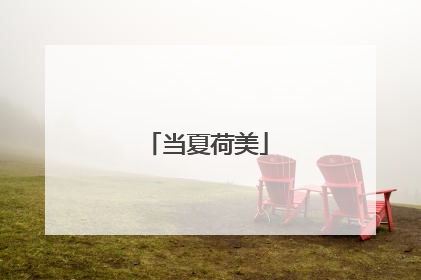 当夏荷美