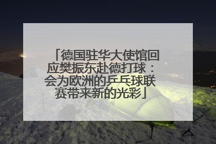 德国驻华大使馆回应樊振东赴德打球：会为欧洲的乒乓球联赛带来新的光彩
