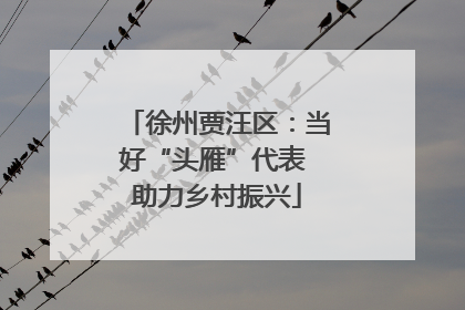 徐州贾汪区：当好“头雁”代表 助力乡村振兴