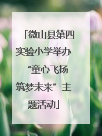 微山县第四实验小学举办“童心飞扬 筑梦未来”主题活动
