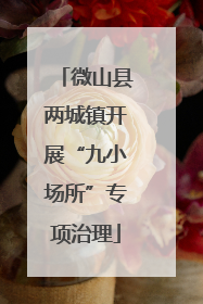 微山县两城镇开展“九小场所”专项治理