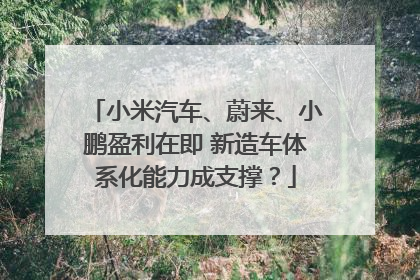 小米汽车、蔚来、小鹏盈利在即 新造车体系化能力成支撑？