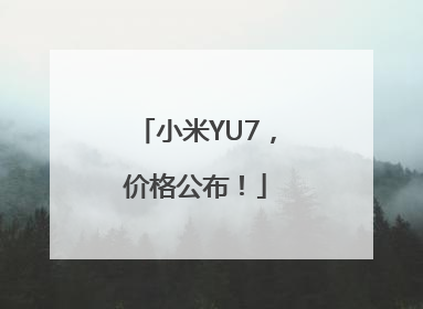 小米YU7，价格公布！