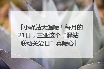 小驿站大温暖！每月的21日，三亚这个“驿站联动关爱日”真暖心