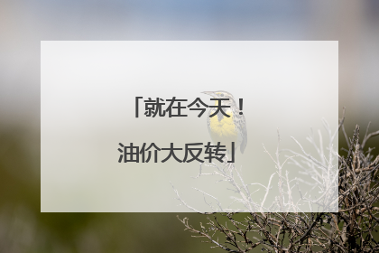就在今天！油价大反转