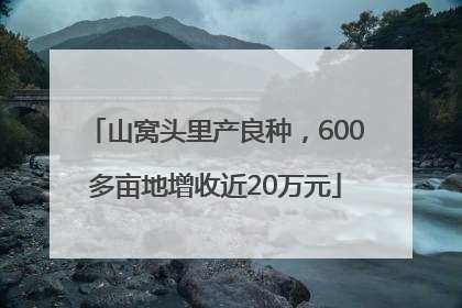 山窝头里产良种，600多亩地增收近20万元
