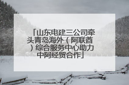 山东电建三公司牵头青岛海外（阿联酋）综合服务中心助力中阿经贸合作