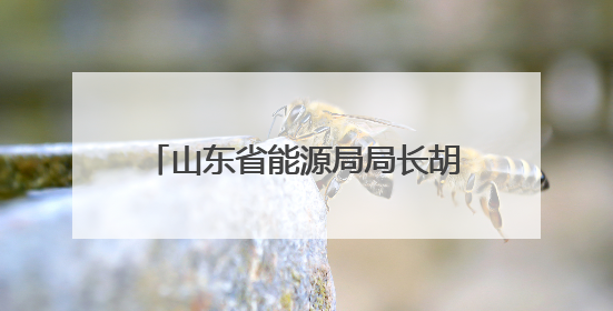 山东省能源局局长胡薄调任滨州市委常委、市政府党组副书记