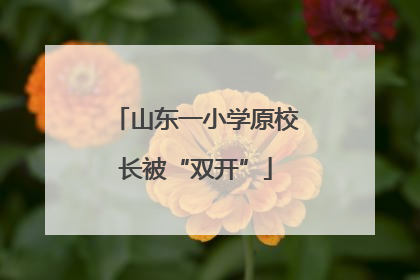 山东一小学原校长被“双开”