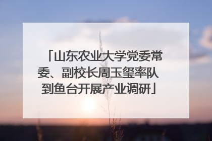 山东农业大学党委常委、副校长周玉玺率队到鱼台开展产业调研
