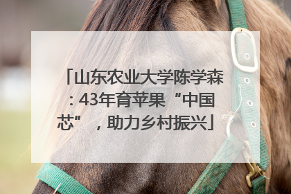 山东农业大学陈学森：43年育苹果“中国芯”，助力乡村振兴