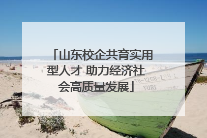 山东校企共育实用型人才 助力经济社会高质量发展