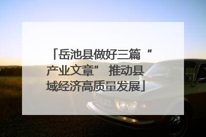岳池县做好三篇“产业文章” 推动县域经济高质量发展