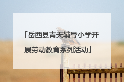 岳西县青天辅导小学开展劳动教育系列活动