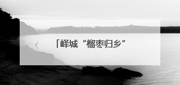 峄城“榴枣归乡”引才直通车驶入校地企共赢新航程