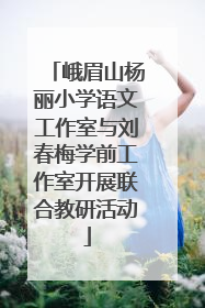 峨眉山杨丽小学语文工作室与刘春梅学前工作室开展联合教研活动