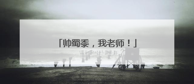 帅蜀黍，我老师！