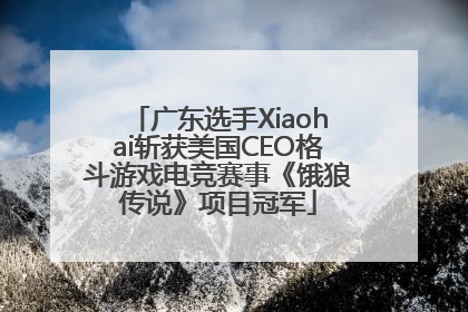 广东选手Xiaohai斩获美国CEO格斗游戏电竞赛事《饿狼传说》项目冠军