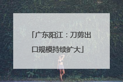广东阳江：刀剪出口规模持续扩大