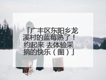 广丰区东阳乡龙溪村的蓝莓熟了！约起来 去体验采摘的快乐（图）