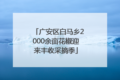 广安区白马乡2000余亩花椒迎来丰收采摘季