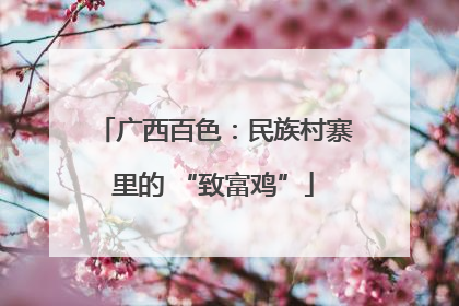 广西百色：民族村寨里的 “致富鸡”