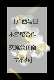 广西与日本经贸合作交流会在南宁举办