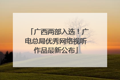 广西两部入选！广电总局优秀网络视听作品最新公布