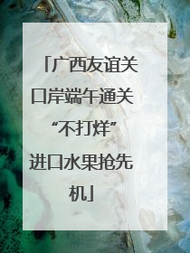 广西友谊关口岸端午通关“不打烊” 进口水果抢先机