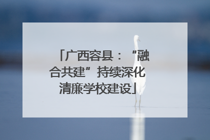 广西容县：“融合共建”持续深化清廉学校建设
