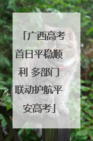 广西高考首日平稳顺利 多部门联动护航平安高考