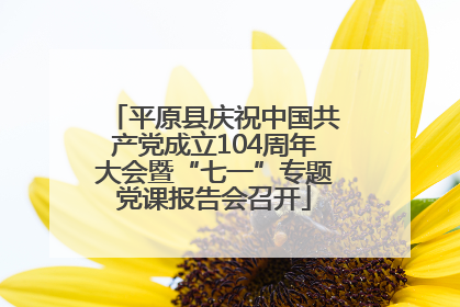 平原县庆祝中国共产党成立104周年大会暨“七一”专题党课报告会召开