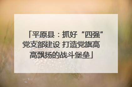 平原县：抓好“四强”党支部建设 打造党旗高高飘扬的战斗堡垒