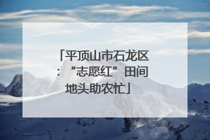 平顶山市石龙区：“志愿红”田间地头助农忙