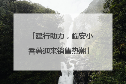 建行助力，临安小香薯迎来销售热潮