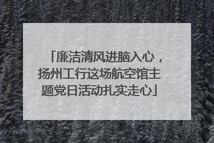 廉洁清风进脑入心，扬州工行这场航空馆主题党日活动扎实走心