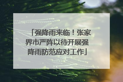 强降雨来临！张家界市严阵以待开展强降雨防范应对工作