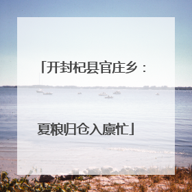 开封杞县官庄乡：夏粮归仓入廪忙
