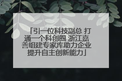 引一位科技副总 打通一个科创圈 浙江嘉善组建专家库助力企业提升自主创新能力