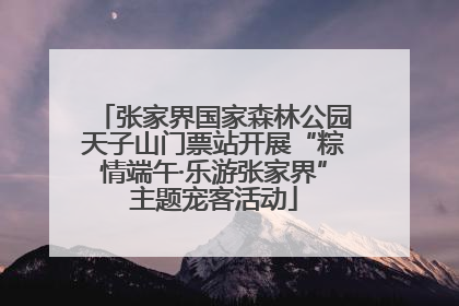 张家界国家森林公园天子山门票站开展“粽情端午·乐游张家界”主题宠客活动