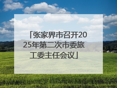 张家界市召开2025年第二次市委旅工委主任会议
