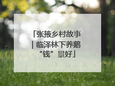 张掖乡村故事｜临泽林下养鹅“钱”景好