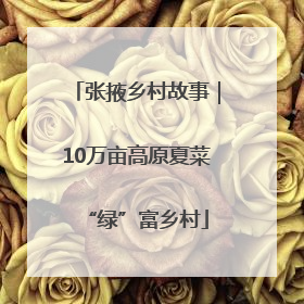 张掖乡村故事｜10万亩高原夏菜“绿”富乡村