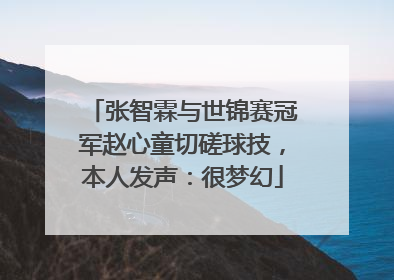 张智霖与世锦赛冠军赵心童切磋球技，本人发声：很梦幻