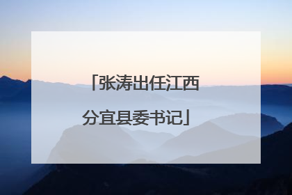 张涛出任江西分宜县委书记