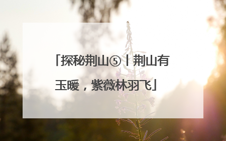 探秘荆山⑤丨荆山有玉暖，紫薇林羽飞