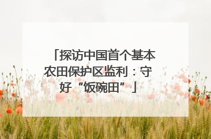 探访中国首个基本农田保护区监利：守好“饭碗田”